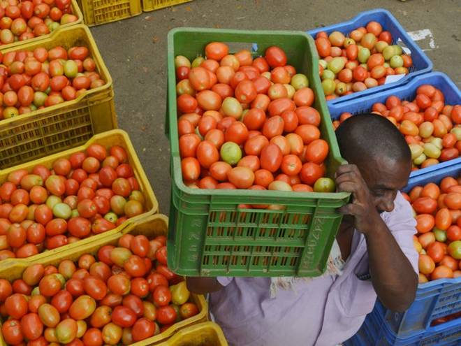 پٹرول سے مہنگا ہوا ٹماٹر، 80 روپئے ہوگئی قیمت، جانئے کیوں بڑھ رہی ہے سبزیوں کی قیمت