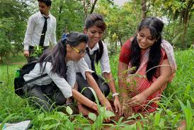 Planting tree