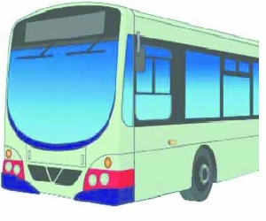 bus