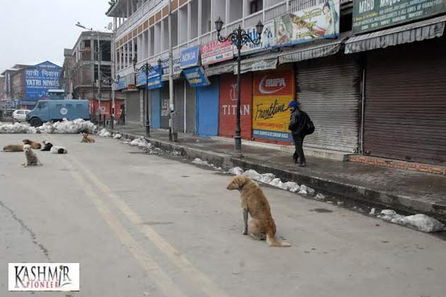 تیز رفتار ٹرک کی زد میں ایک ہی کنبہ کے تین افراد ہلاک