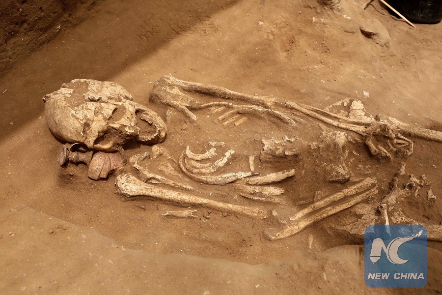 سعودی عرب : دنیا میں انسان کی قدیم ترین ہڈی کی دریافت