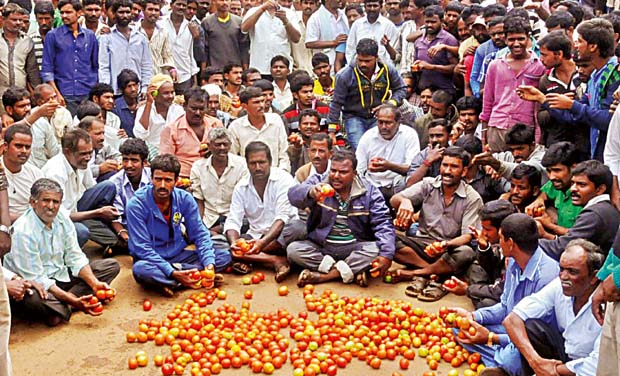 قیمت میں گراوٹ۔کسانوں کو انوکھااحتجاج۔ٹماٹر سڑکوں پر پھینک دیئے