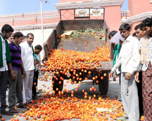 qeemat-2tomato-farmers