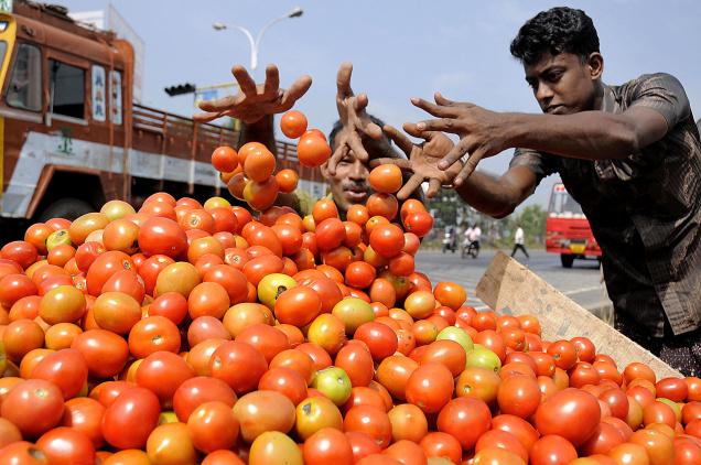 qeemat-3tomato-farmers