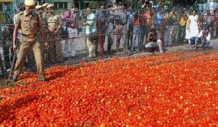 qeemat-4tomato-farmers