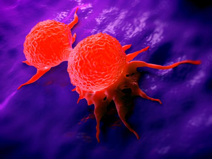 dividing-breast-cancer-cells