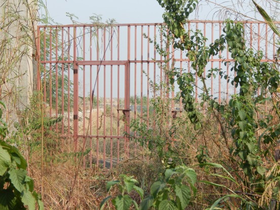 ممبئی کے وسئی میں قبرستانوں کو اُجاڑنے کی کاروائی فی الحال ملتوی