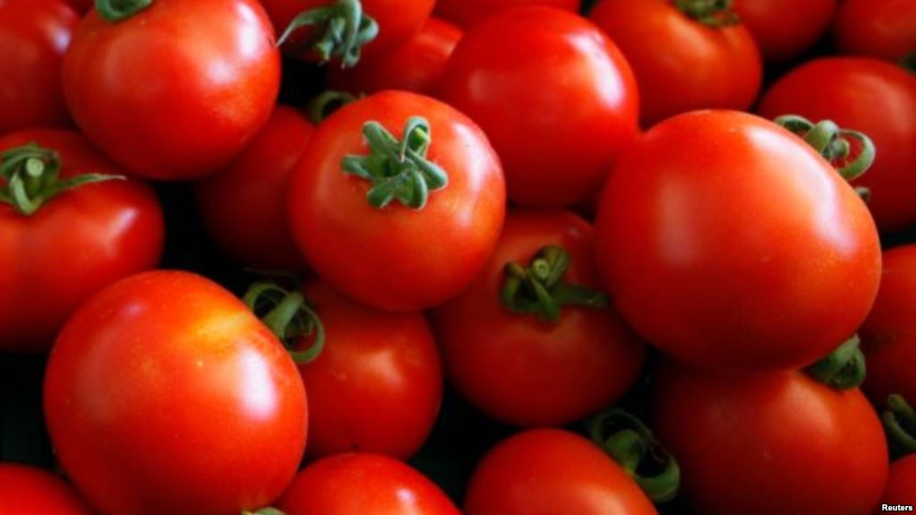 ٹماٹر، رسیلے، مزیدار اور فائدے مند