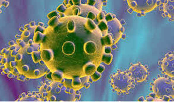برازیل میں کورونا وائرس متاثرین کی تعداد بڑھ کر 6،836پہنچی