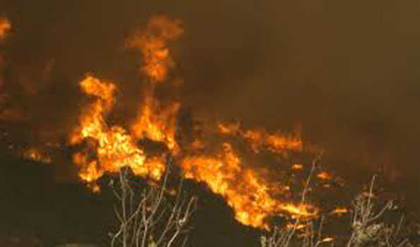 کیلی فورنیا کے جنگلوں میں 17000 ایکڑ سے زیادہ رقبے میں پھیلی آگ