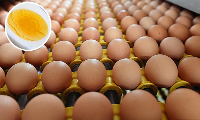 بے ایمانی سے کوئی چیز بچے گی نہیں ،مصنوعی انڈے کیسے بنائے جاتے ہیں؟