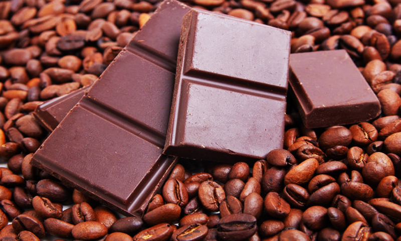 ‘چاکلیٹ ہر عمر کی پسندیدہ غذاؤں میں سے ایک ہے’
