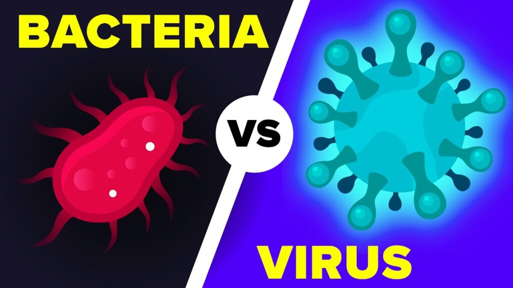 بیکٹیریا اور وائرس میں فرق؟