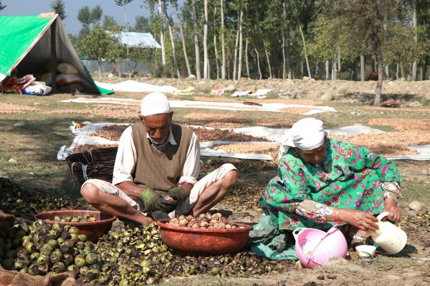 شاہ رخ خان نے میری زندگی برباد کردی