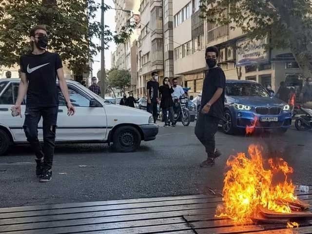 گم شدہ بلی 9 برس بعد ملنے پر خاتون حیران