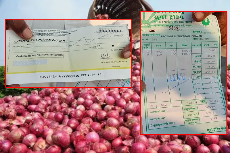 'ہم کیسے زندہ رہیں'، 512 کلو پیاز فروخت کرنے کے بعد محض 2.49 روپے پانے والا کسان ماتم کناں