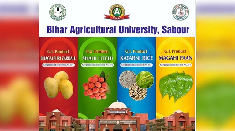 پاکستان میں 9 مسافروں کا اغوا کرکے گولی مار دی گئی، سبھی کا تعلق پنجاب سے