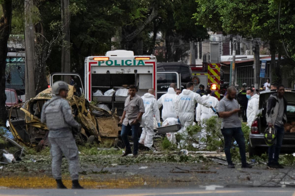 راہل گاندھی نے سپریم کورٹ کے نئے حکم کا خیرمقدم کیا، آوارہ کتوں کی دیکھ بھال اور عوامی تحفظ میں توازن پر زور