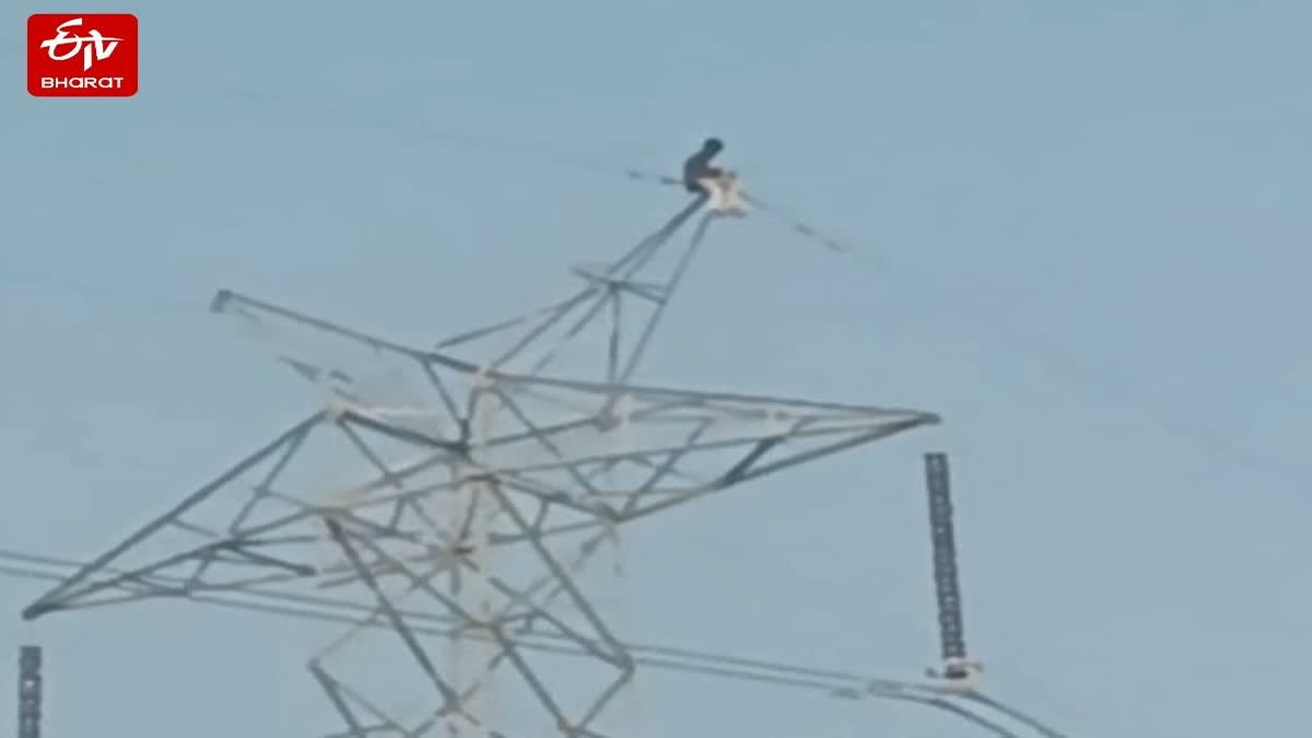 گنیش چترتھی 2025: ٹھاکرے خاندان، ممبئی میں گنیش اتسو زوروں پر 