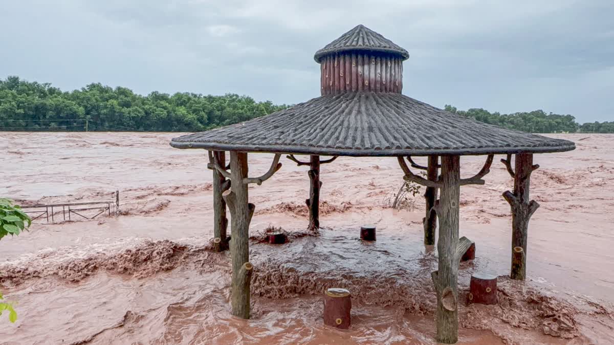 یہ تصویر دیکھ کر ٹرمپ غصے میں آگئے: آپ ہمارے خلاف سازش کر رہے ہیں