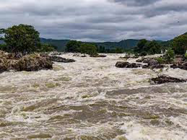 اسرائیلی حملے میں شہید ہونے والی فلسطینی صحافی مریم ابو دقہ کیلئے انٹرنیشنل پریس فریڈم ہیروز ایوارڈ