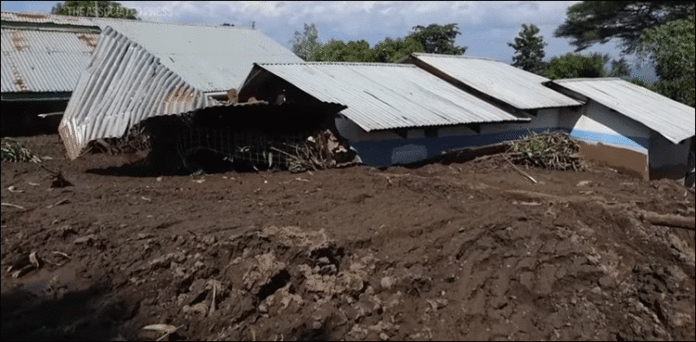 ویمنز ورلڈ کپ؛ بھارتی ٹیم جنوبی افریقہ کو باآسانی شکست دے کر عالمی چمپیئن بن گئی