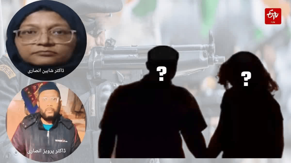 بہار میں این ڈی اے حکومت، پی ایم مودی نے نتیش کمار کی تعریف کی، انہیں ایک موثر اور تجربہ کار منتظم قرار دیا