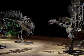 بہرائچ میں پولیس مڈبھیڑ میں دو بدمعاش زخمی