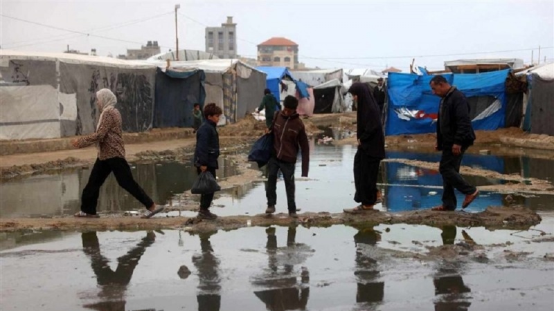 گوا آتشزدگی  سانحہ: مفرور لوتھرا بھائیوں کو فوکیٹ میں حراست میں لیا گیا